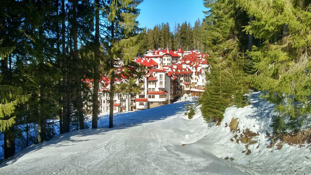 The Castle Complex - Apartment 401 Pamporovo Eksteriør billede