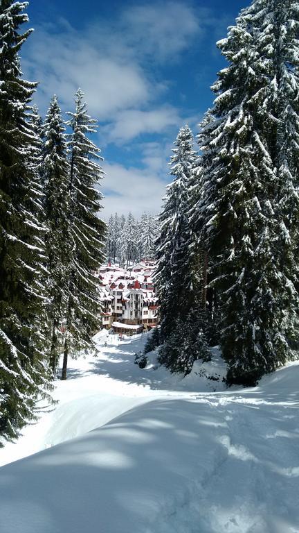 The Castle Complex - Apartment 401 Pamporovo Eksteriør billede