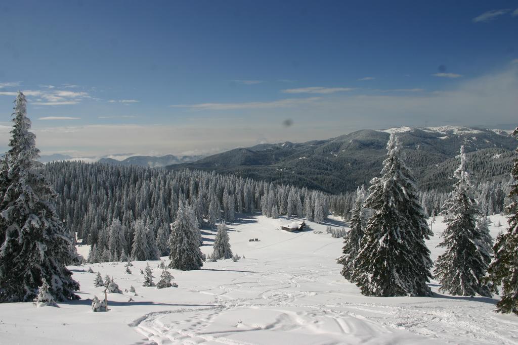 The Castle Complex - Apartment 401 Pamporovo Værelse billede