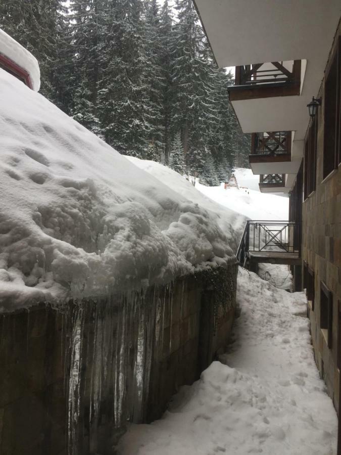 The Castle Complex - Apartment 401 Pamporovo Eksteriør billede