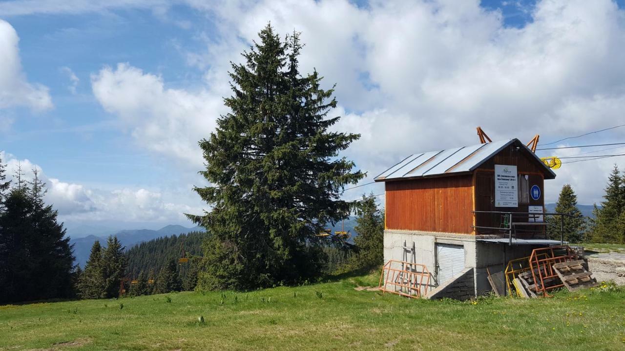 The Castle Complex - Apartment 401 Pamporovo Eksteriør billede